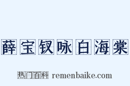 薛宝钗咏白海棠是什么意思的图片